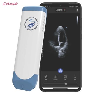 ซื้อ 3.6MHz แบบพกพาไร้สาย Ultrasound Probe Phased Array Transducer online manufacture