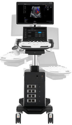 ซื้อ รถเข็น 5D Sonoscape Echo Machine P11 Elite พร้อมหัวต่อทรานสดิวเซอร์ 4 ตัว online manufacture