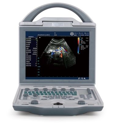 ซื้อ 10.4 '' LED Display Veterinary Ultrasound เครื่องอัลตร้าซาวด์แบบพกพาสำหรับสุกร 4.5KG online manufacture