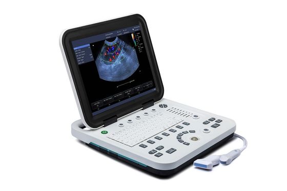 ซื้อ 15'' LCD Display Portable Vet Ultrasound Machine การใช้งานทางสัตวแพทย์ online manufacture