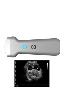 ซื้อ Ultrasonication Convex Wireless Ultrasound Probe สำหรับนรีเวชวิทยา online manufacture