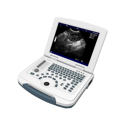 ซื้อ เครื่องอัลตร้าซาวด์สัตวแพทย์แพลตฟอร์มพีซี 12.1 '' LCD Animal Ultrasound Scanner online manufacture