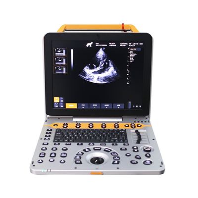 ซื้อ 15 นิ้ว P60V ระบบฉายเสียงด็อปปเลอร์สีพืชสัตว์พกพาสําหรับคลินิกสัตว์ขนาดเล็ก online manufacture