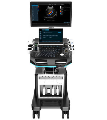 ซื้อ Ergonomic Console 64 Channel Portable Veterinary Ultrasound Machine สำหรับสัตว์ online manufacture