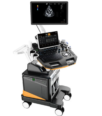 ซื้อ 3D/4D สี Doppler Veterinary Ultrasound เครื่อง Professional ขนาดเล็กสัตว์ Imaging System 21.5 ''LCD online manufacture