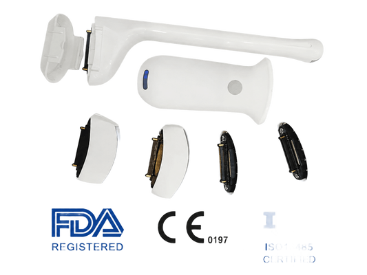 ซื้อ เครื่องสแกนอัลตราซาวนด์มือถือไร้สายพร้อมองค์ประกอบ 192 ชิ้น | ระบบ POCUS แบบพกพาพร้อมโพรบแบบเปลี่ยนได้ online manufacture